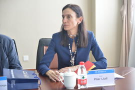 Pilar Llull, jefa del gabinete del director de la Real Academia Española, en la sala de juntas de...