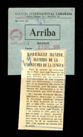 Recorte del diario Arriba con la noticia titulada Rodríguez Muñino [Moñino], miembro de la Academ...