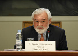 Darío Villanueva, director de la Real Academia Española, en la mesa redonda