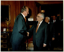 Juan Carlos I estrecha la mano al académico Luis Ángel Rojo