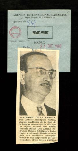 Recorte del diario Ya con un retrato de Antonio Rodríguez-Moñino y pie de foto titulado Académico...