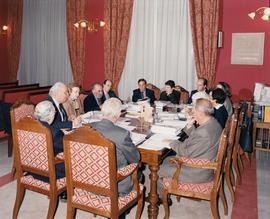 Reunión de la Comisión del Diccionario de dudas
